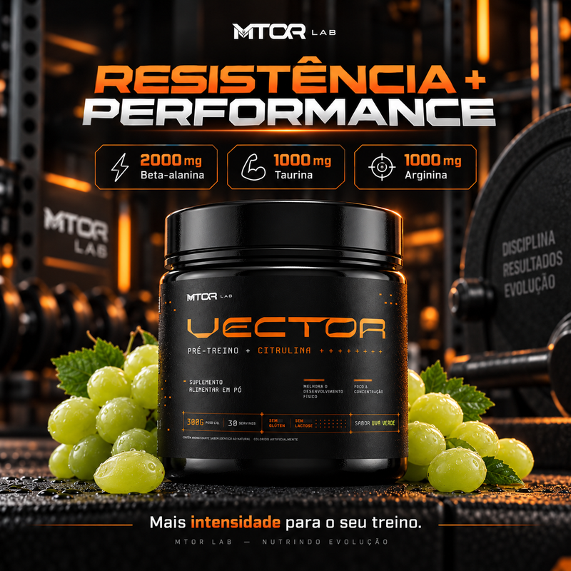 MTOR® - Vector